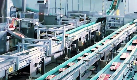 安徽零食巨头 科技创新驱动下的商业辉煌